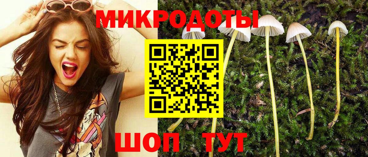 купить наркоту  Вход с VPN  Псилоцибиновые грибы Magic Shrooms  Озёры  Псилоцибиновые грибы Magic Shrooms 